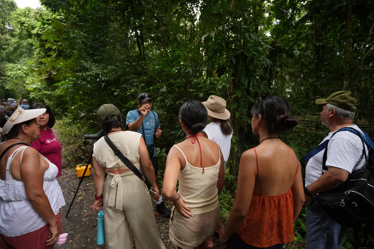 Un grupo descubre el bosque